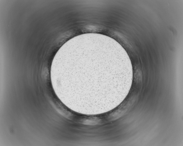 X0000110730459200907241231