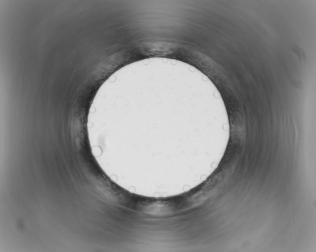 X0000110730460200907241231