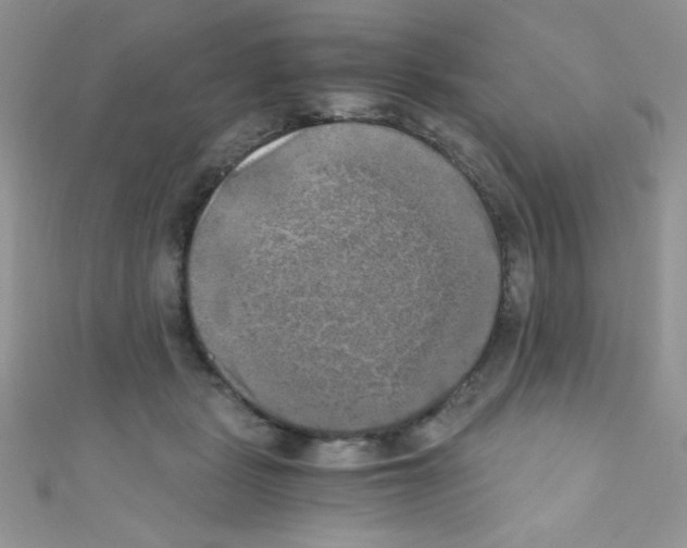 X0000110730461200907241231