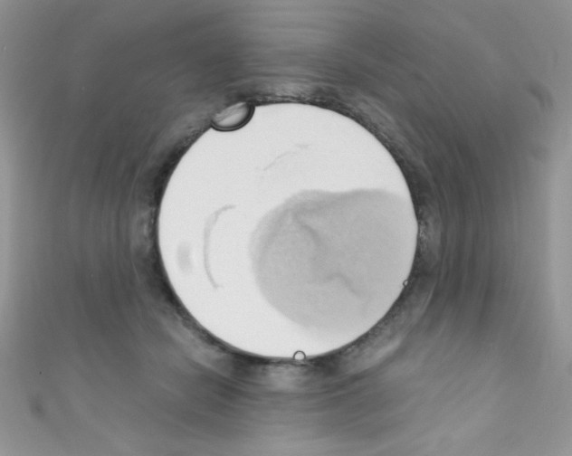 X0000110730462200907241231