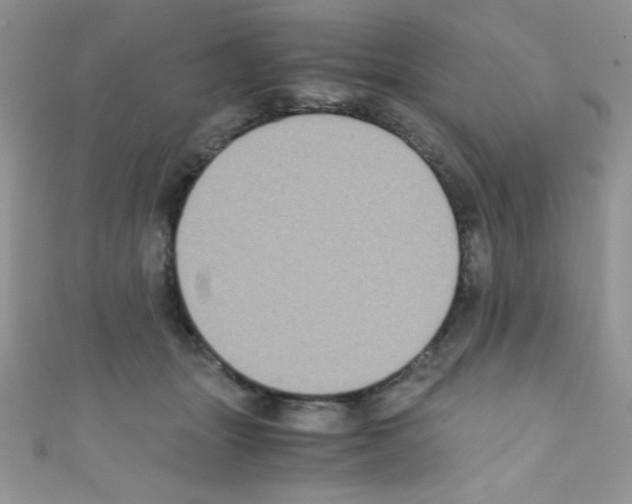 X0000110730463200907241231