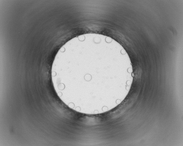 X0000110730464200907241231