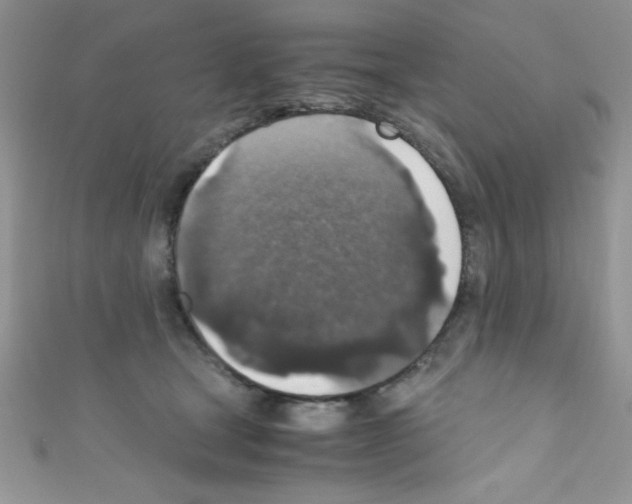 X0000110730465200907241231