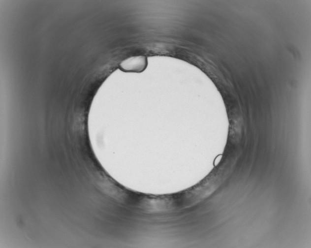 X0000110730466200907241231