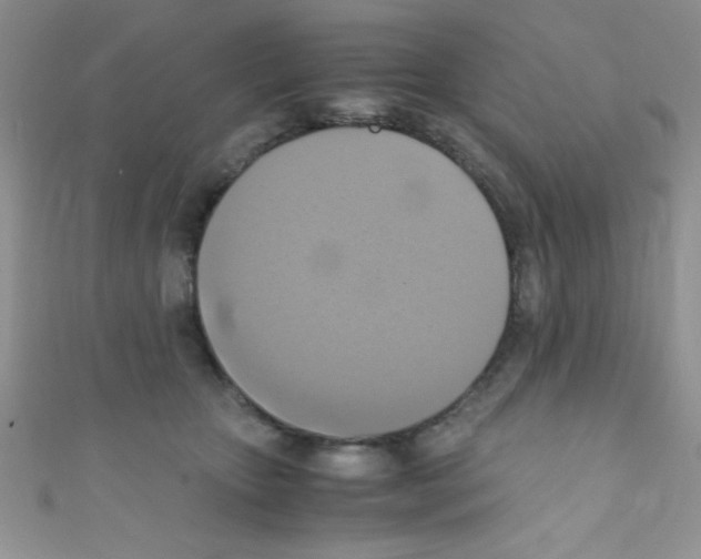 X0000110730467200907241231