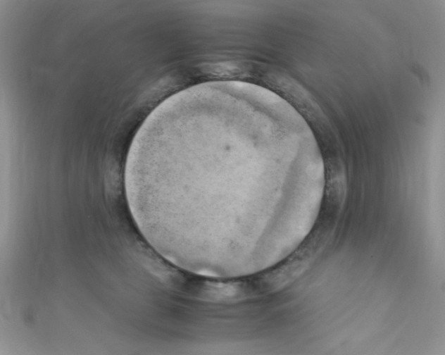 X0000110730469200907241231