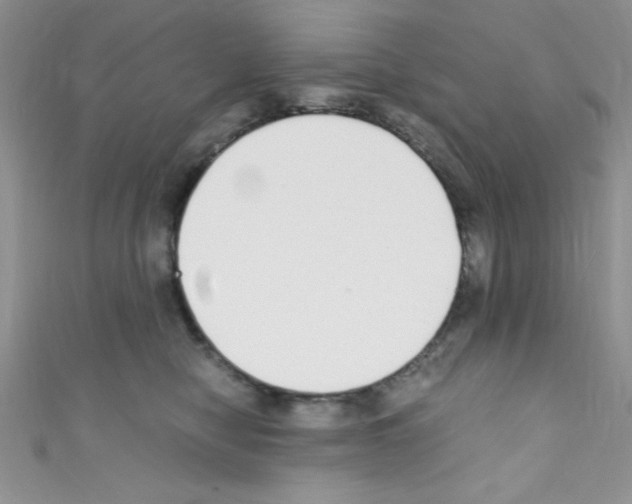 X0000110730470200907241231