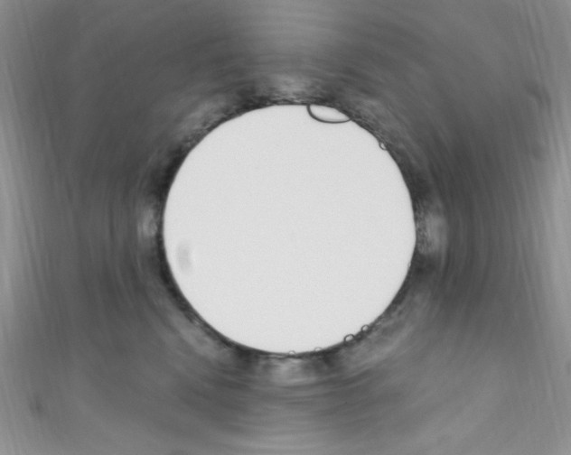 X0000110730472200907241231