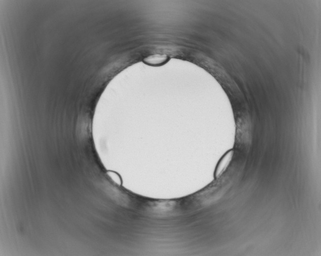 X0000110730474200907241231