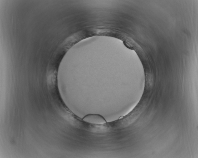X0000110730475200907241231