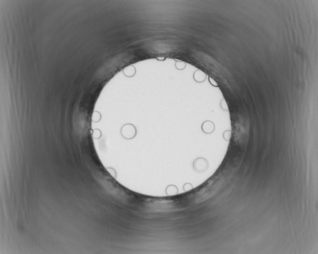 X0000110730476200907241231