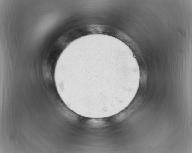 X0000110730477200907241231