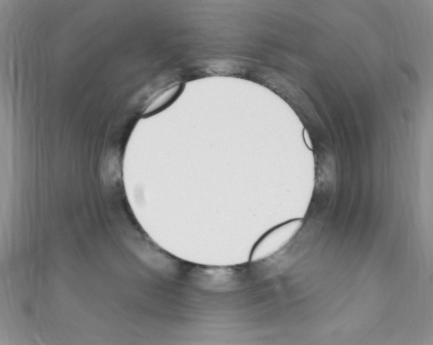 X0000110730478200907241231