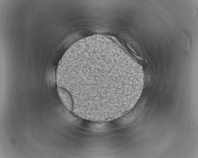 X0000110730479200907241231