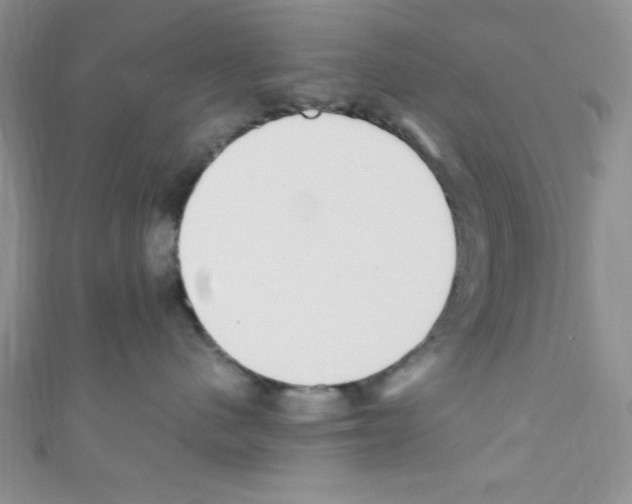 X0000110730480200907241231