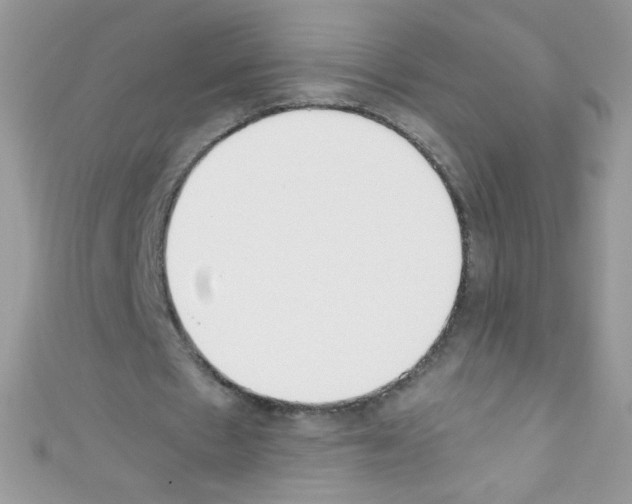 X0000110730481200907241230