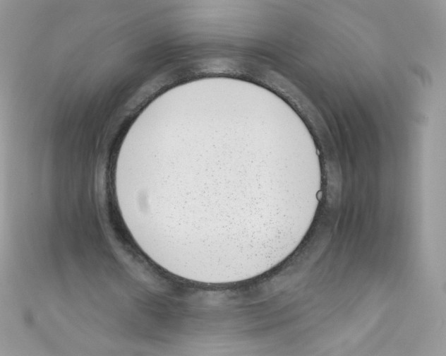 X0000110730482200907241230