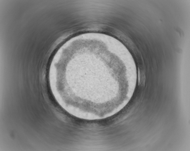 X0000110730483200907241230