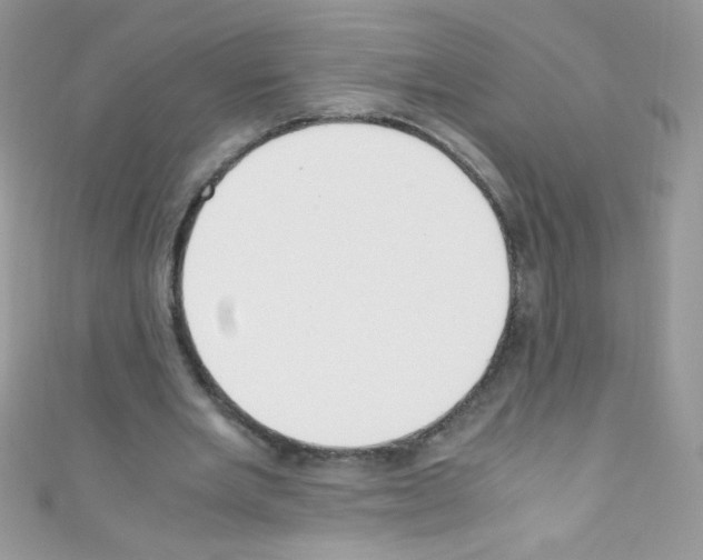 X0000110730485200907241230