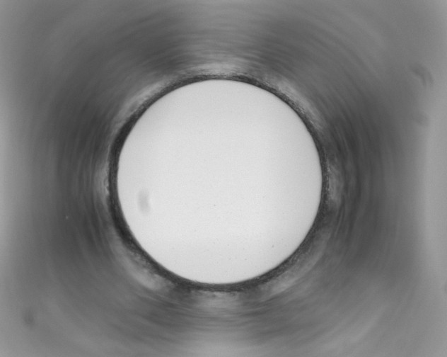 X0000110730486200907241230
