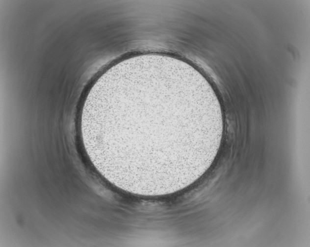 X0000110730487200907241230