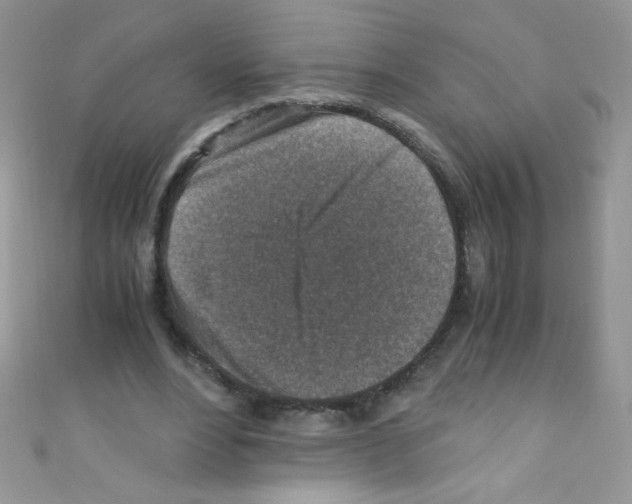 X0000110730488200907241230