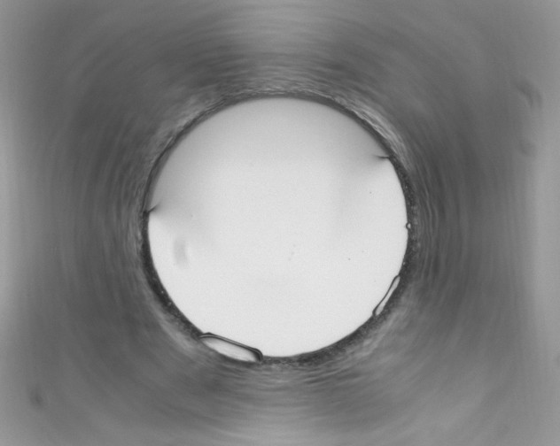 X0000110730489200907241230