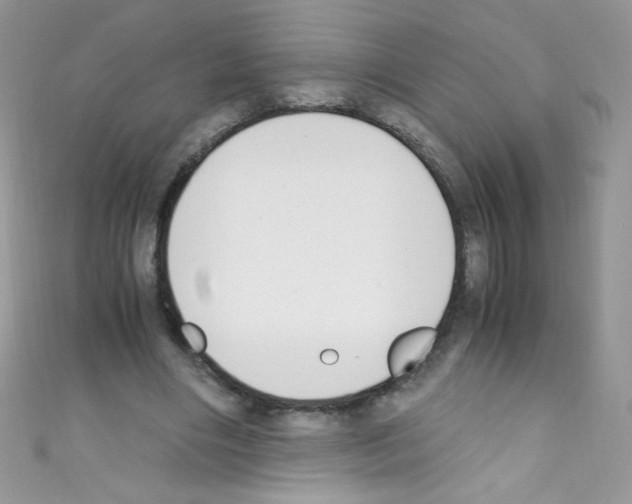 X0000110730490200907241230