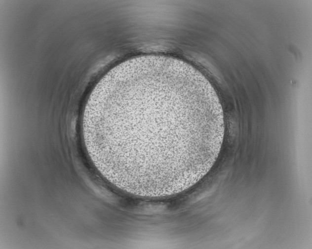 X0000110730491200907241230