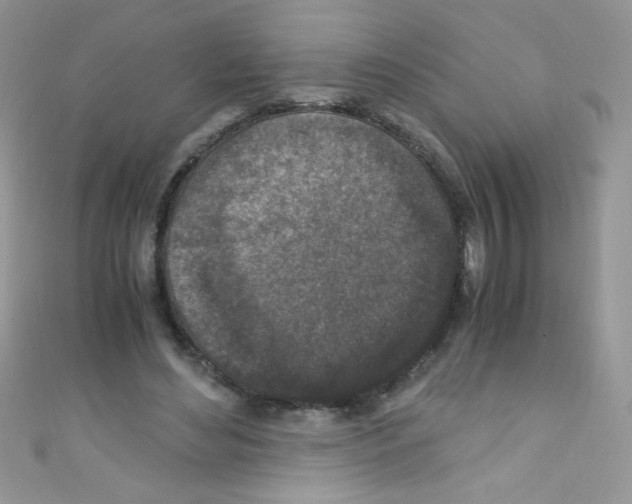 X0000110730492200907241230