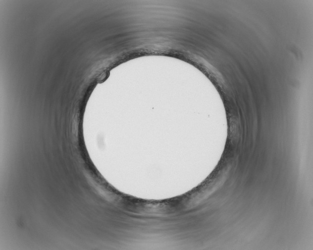 X0000110730493200907241230