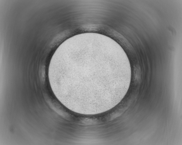 X0000110730494200907241230