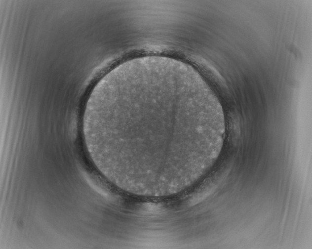 X0000110730496200907241230
