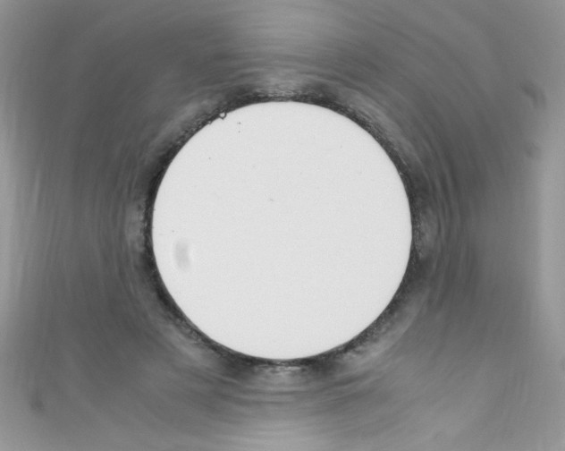 X0000110730497200907241230