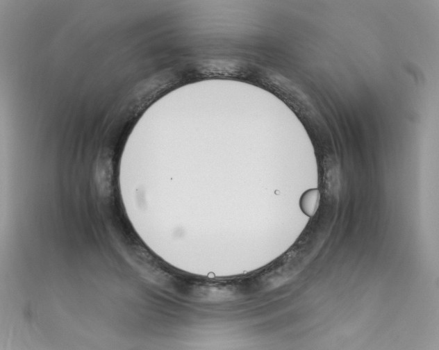X0000110730498200907241230