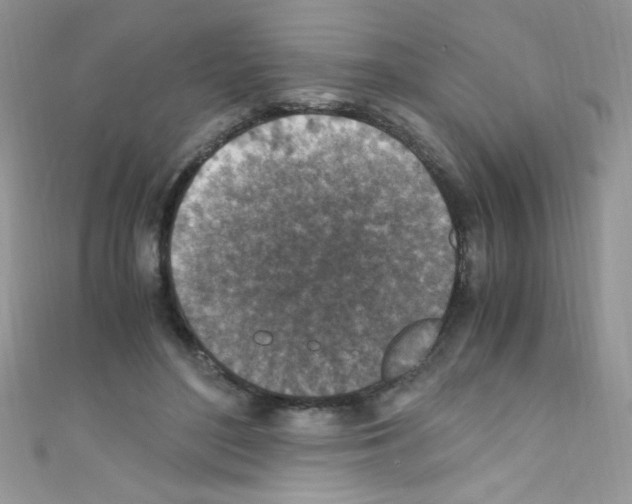 X0000110730500200907241230