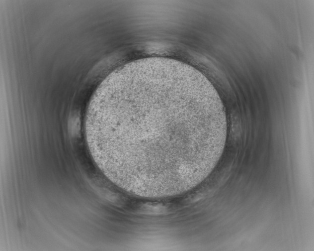 X0000110730502200907241230