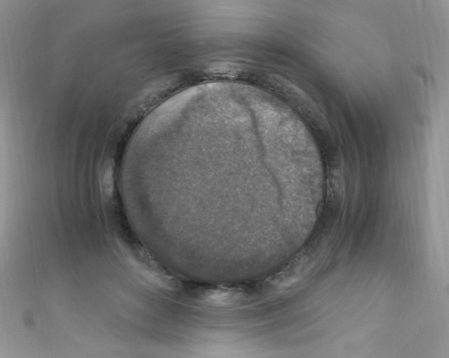 X0000110730504200907241230