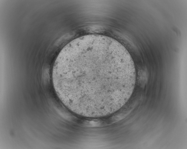 X0000110730506200907241230