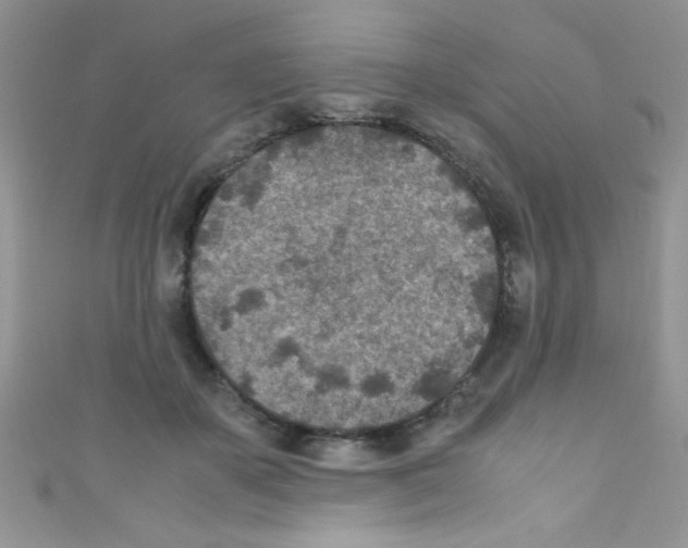 X0000110730507200907241230