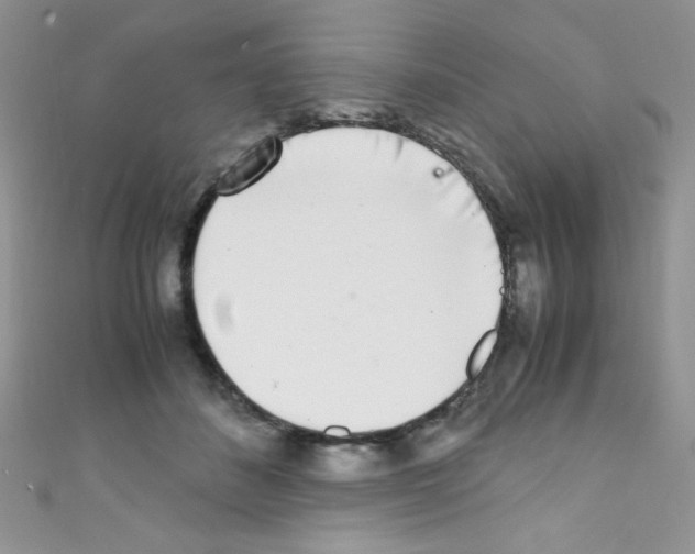 X0000110730508200907241230