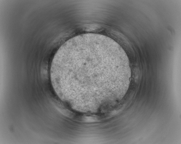 X0000110730510200907241230
