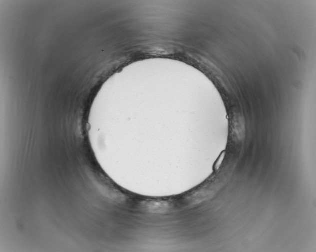 X0000110730512200907241230