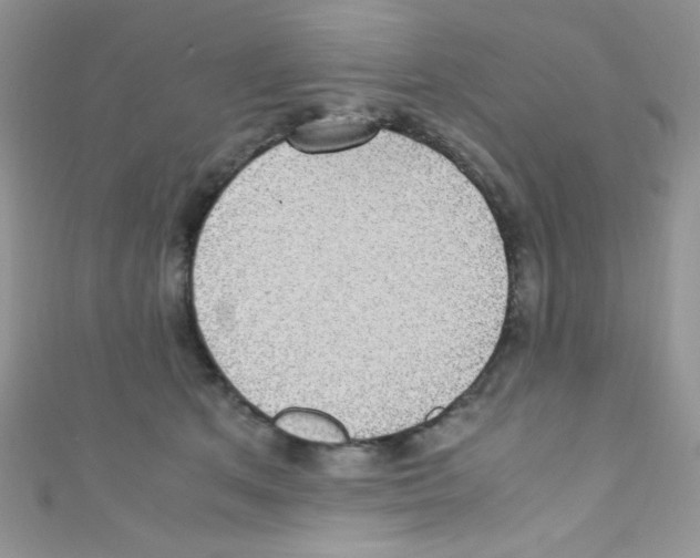 X0000110730513200907241230