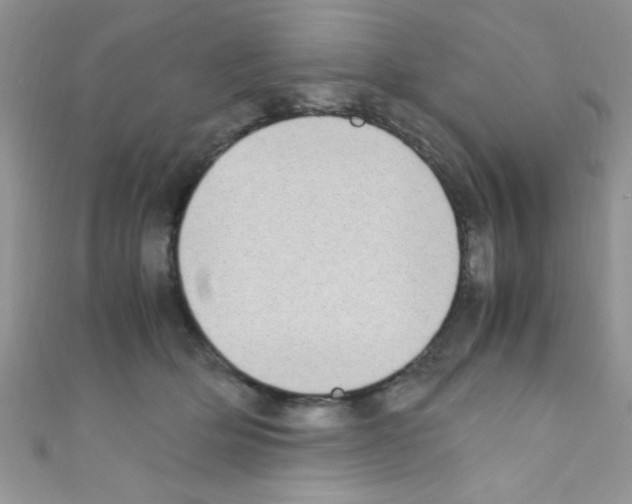 X0000110730514200907241230