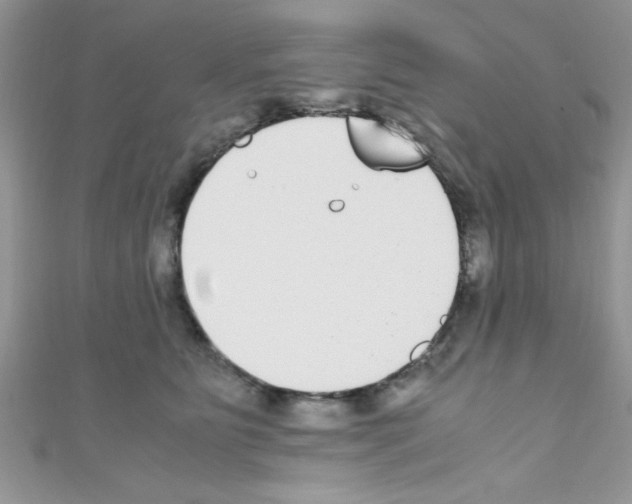X0000110730515200907241230
