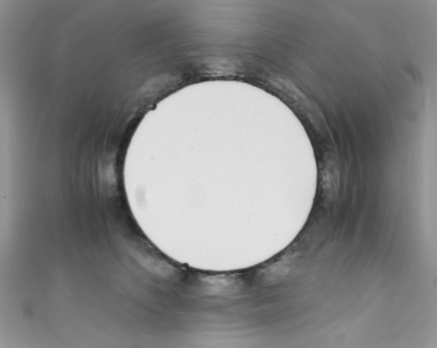 X0000110730516200907241230