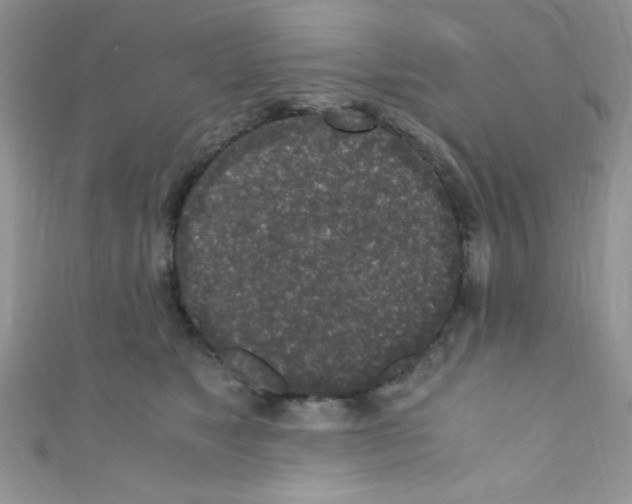 X0000110730517200907241230