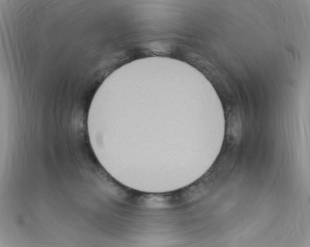 X0000110730518200907241230