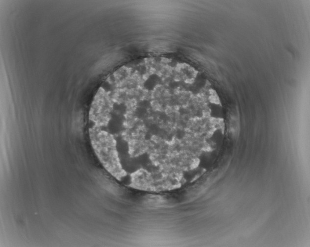 X0000110730519200907241230